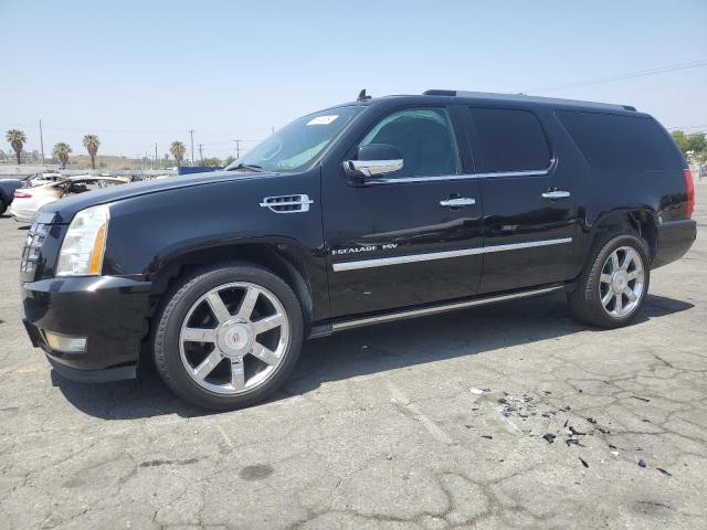 CADILLAC ESCALADE 2012 1gys3hef2cr218317