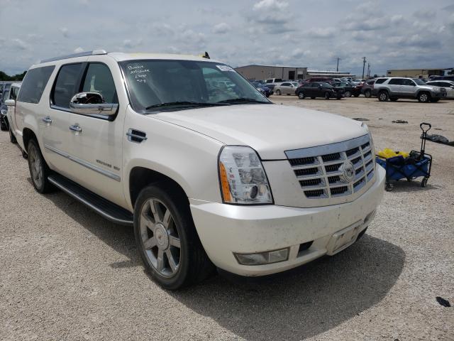 CADILLAC ESCALADE E 2011 1gys3hef5br219041