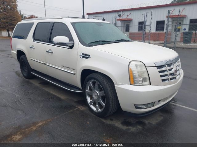 CADILLAC ESCALADE ESV 2011 1gys3hef6br103797