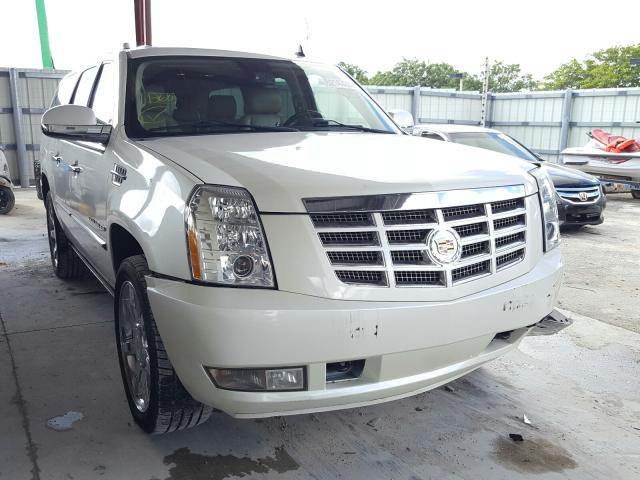 CADILLAC ESCALADE E 2011 1gys3jef6br238463