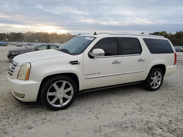 CADILLAC ESCALADE 2011 1gys3jef8br194000