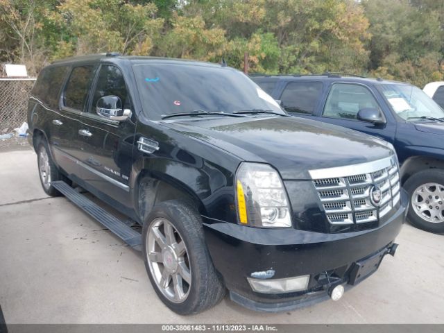 CADILLAC ESCALADE ESV 2011 1gys3jef9br382167