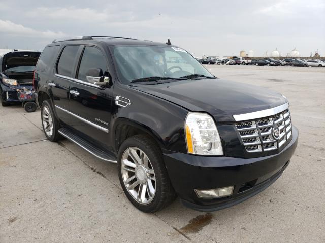 CADILLAC ESCALADE 2011 1gys4aef0br230310