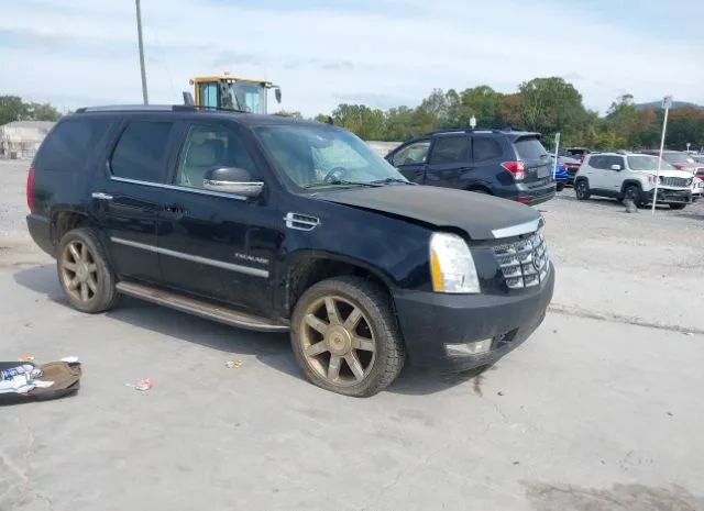 CADILLAC ESCALADE 2011 1gys4aef1br232230