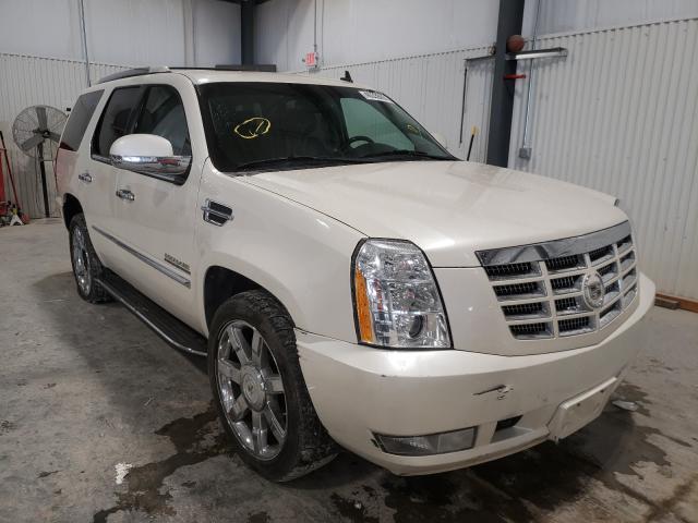 CADILLAC ESCALADE 2011 1gys4aef1br331758