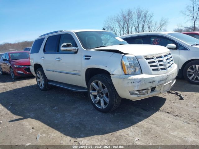 CADILLAC ESCALADE 2011 1gys4aef1br400612