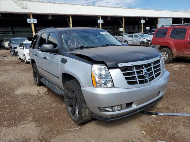 CADILLAC ESCALADE 2013 1gys4aef1dr374967