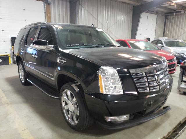 CADILLAC ESCALADE 2011 1gys4aef2br326522