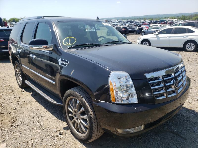 CADILLAC ESCALADE 2011 1gys4aef2br374019