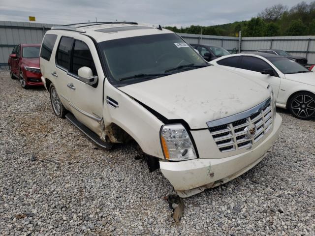 CADILLAC ESCALADE 2011 1gys4aef4br304022