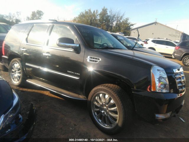 CADILLAC ESCALADE 2011 1gys4aef4br305056