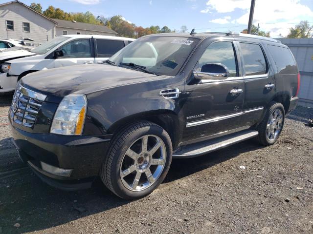 CADILLAC ESCALADE 2011 1gys4aef5br303574