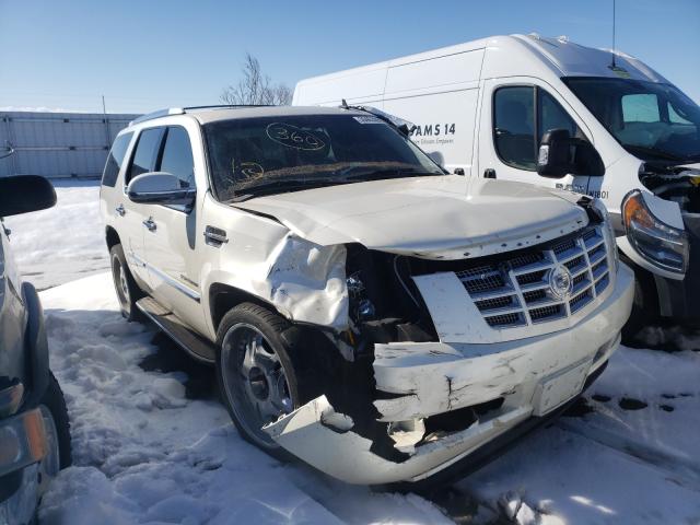 CADILLAC ESCALADE 2011 1gys4aef7br395481