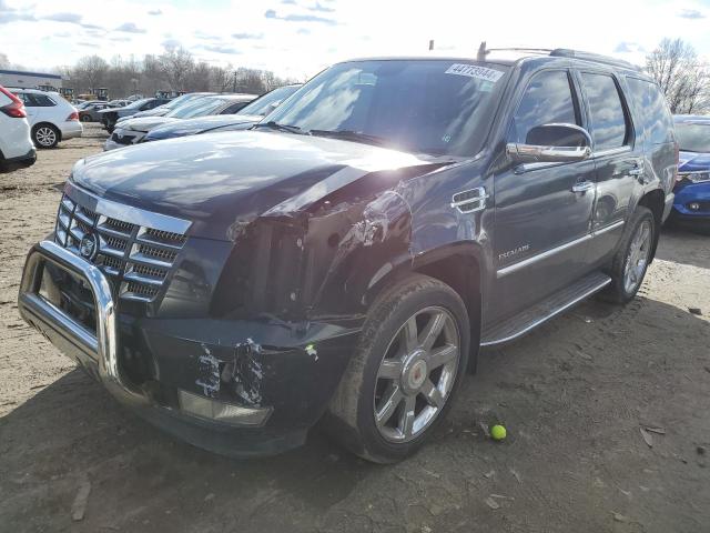 CADILLAC ESCALADE 2011 1gys4bef0br112604