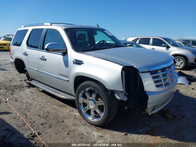 CADILLAC ESCALADE 2011 1gys4bef1br164842