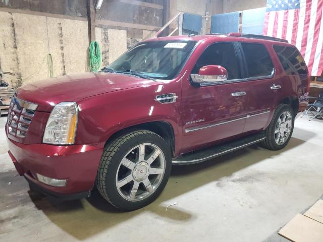 CADILLAC ESCALADE 2011 1gys4bef2br127878