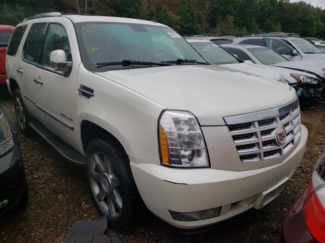 CADILLAC ESCALADE L 2011 1gys4bef2br184162