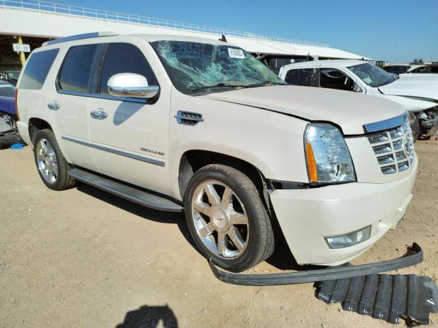 CADILLAC ESCALADE L 2011 1gys4bef2br211943