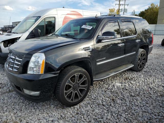 CADILLAC ESCALADE 2011 1gys4bef2br314859