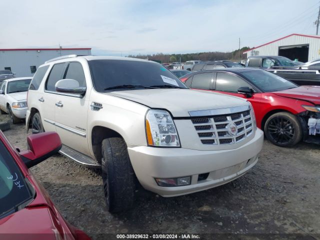 CADILLAC ESCALADE 2011 1gys4bef3br102519