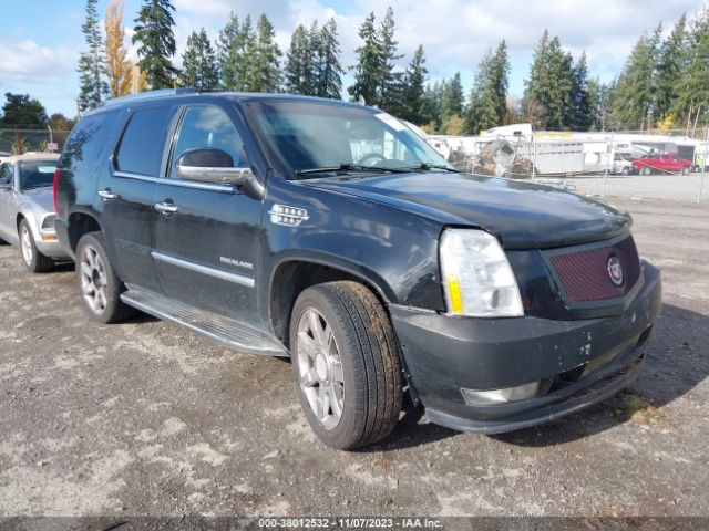 CADILLAC ESCALADE 2011 1gys4bef3br199382