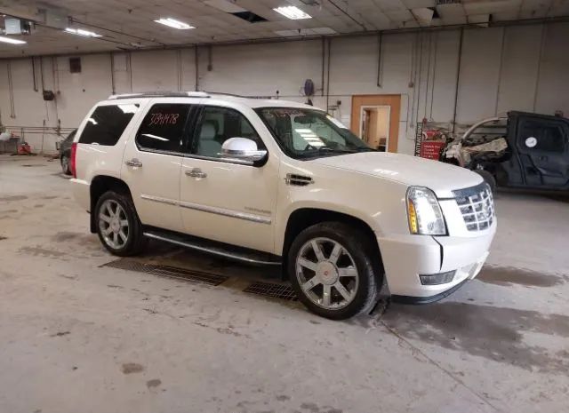 CADILLAC ESCALADE 2013 1gys4bef3dr226941