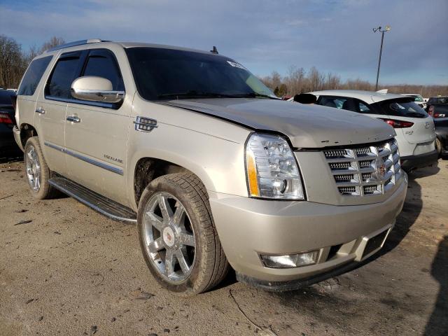 CADILLAC ESCALADE L 2014 1gys4bef3er103058