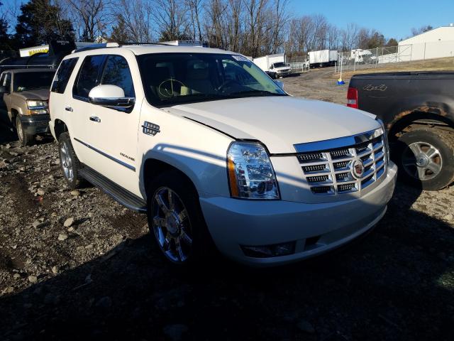 CADILLAC ESCALADE L 2014 1gys4bef3er194333