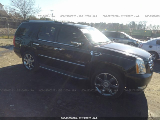 CADILLAC ESCALADE 2011 1gys4bef4br242840