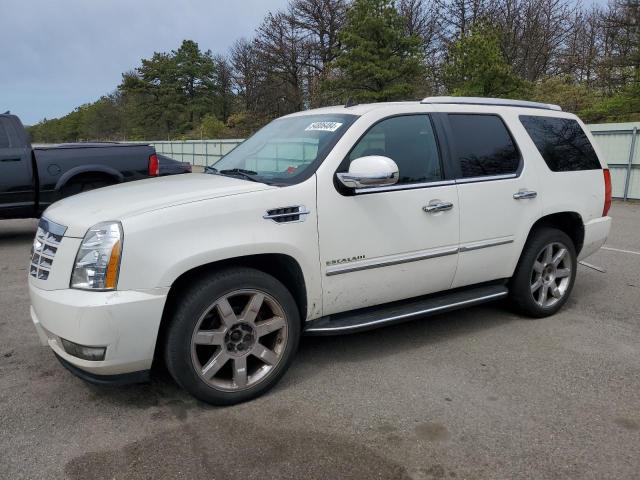 CADILLAC ESCALADE 2011 1gys4bef4br290998