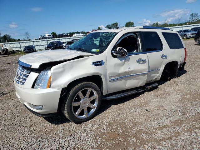 CADILLAC ESCALADE 2014 1gys4bef4er101805