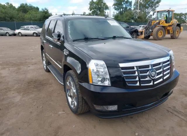 CADILLAC ESCALADE 2011 1gys4bef5br232074