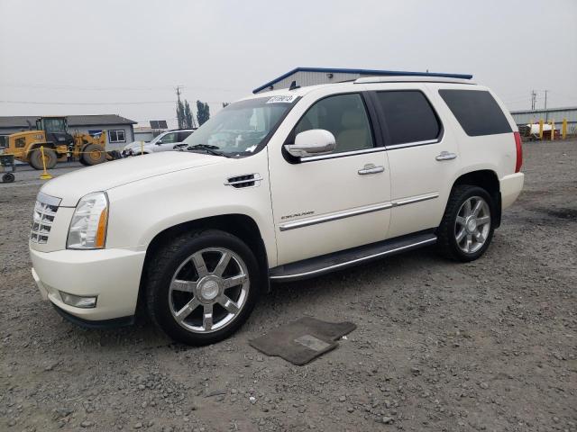 CADILLAC ESCALADE L 2011 1gys4bef5br235654