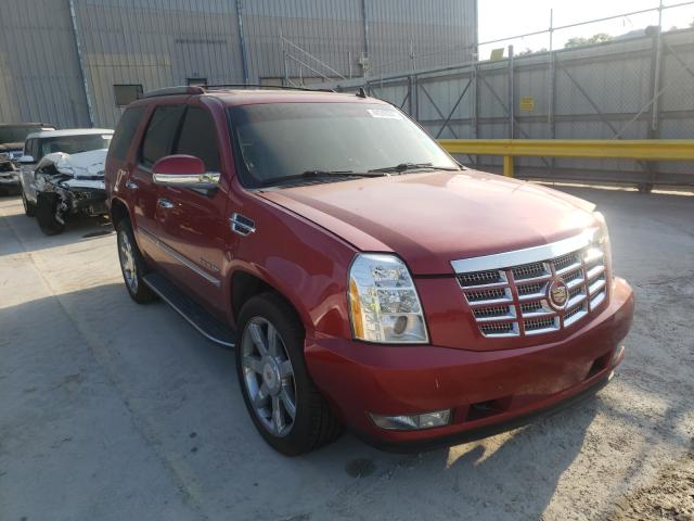 CADILLAC ESCALADE L 2013 1gys4bef5dr139400