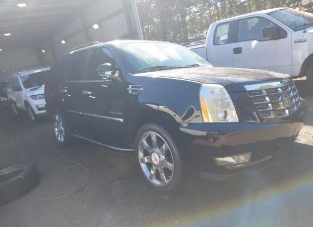 CADILLAC ESCALADE 2011 1gys4bef6br209838