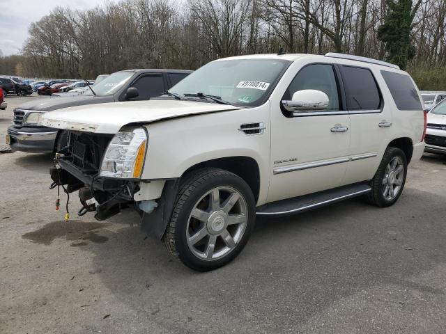 CADILLAC ESCALADE 2011 1gys4bef6br213565