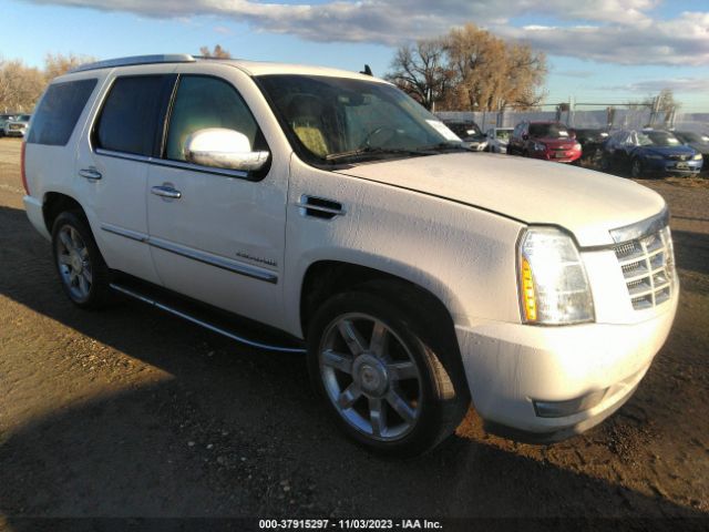 CADILLAC ESCALADE 2011 1gys4bef7br128525