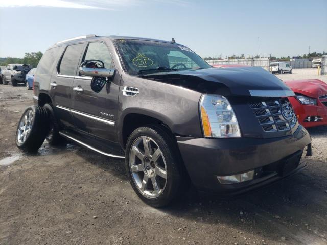 CADILLAC ESCALADE L 2011 1gys4bef7br163811