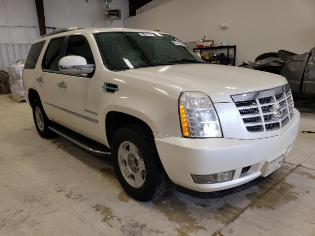 CADILLAC ESCALADE L 2011 1gys4bef7br235624