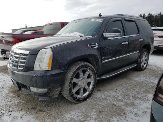 CADILLAC ESCALADE 2011 1gys4bef7br346464