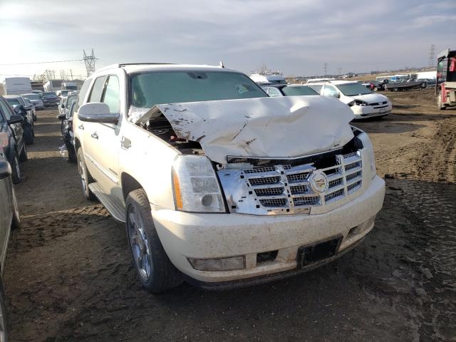 CADILLAC ESCALADE L 2013 1gys4bef7dr100744