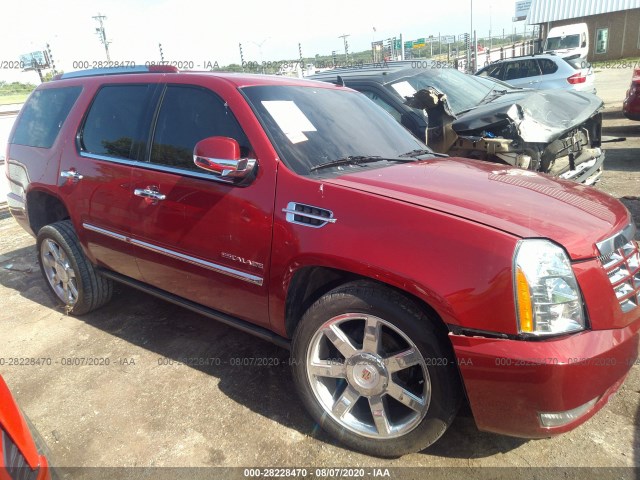 CADILLAC ESCALADE 2013 1gys4bef7dr334043