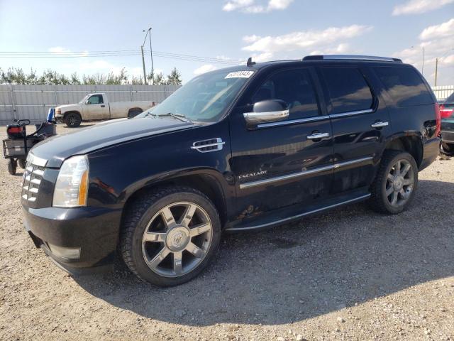 CADILLAC ESCALADE L 2011 1gys4bef8br101091