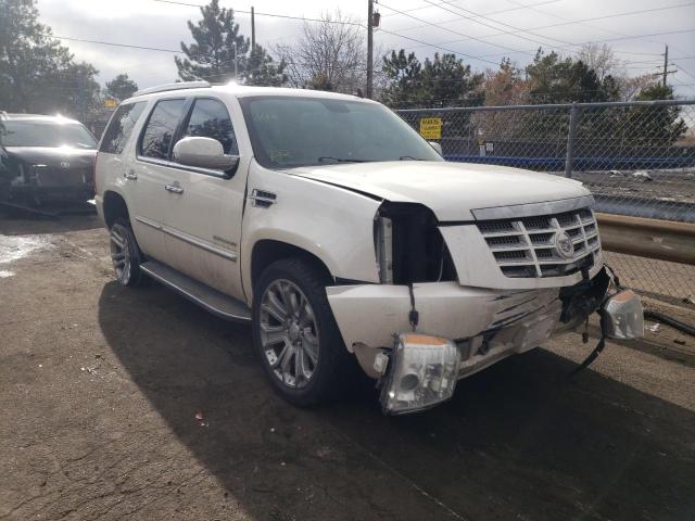 CADILLAC ESCALADE L 2011 1gys4bef8br102631