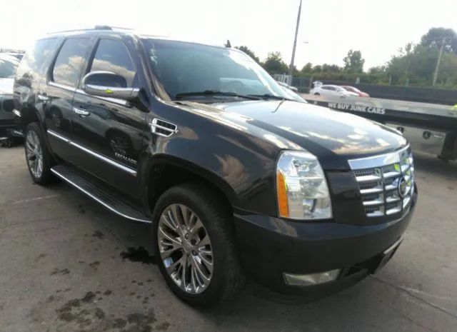 CADILLAC ESCALADE 2011 1gys4bef8br157998