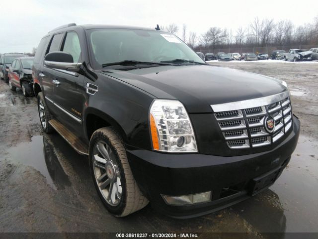 CADILLAC ESCALADE 2011 1gys4bef8br209579