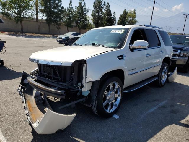 CADILLAC ESCALADE L 2011 1gys4bef8br255025