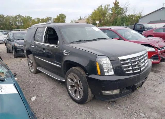 CADILLAC ESCALADE 2011 1gys4bef8br257034