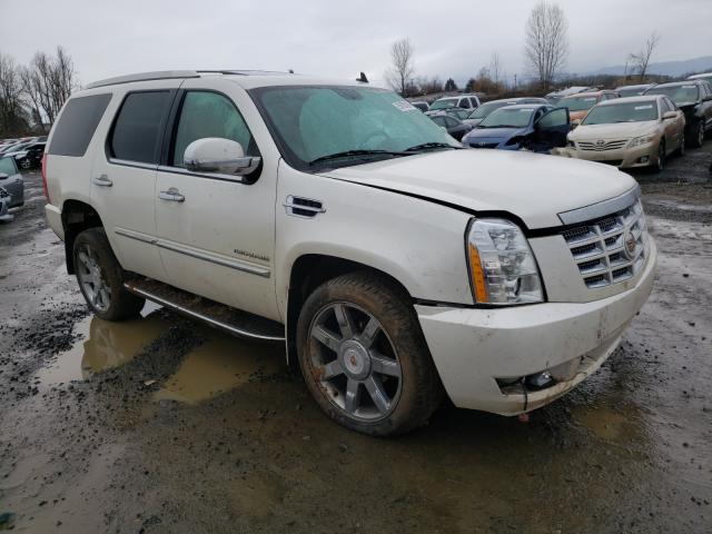 CADILLAC ESCALADE L 2011 1gys4bef8br266333