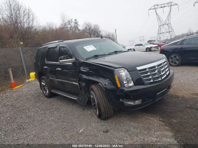 CADILLAC ESCALADE 2011 1gys4bef8br267272